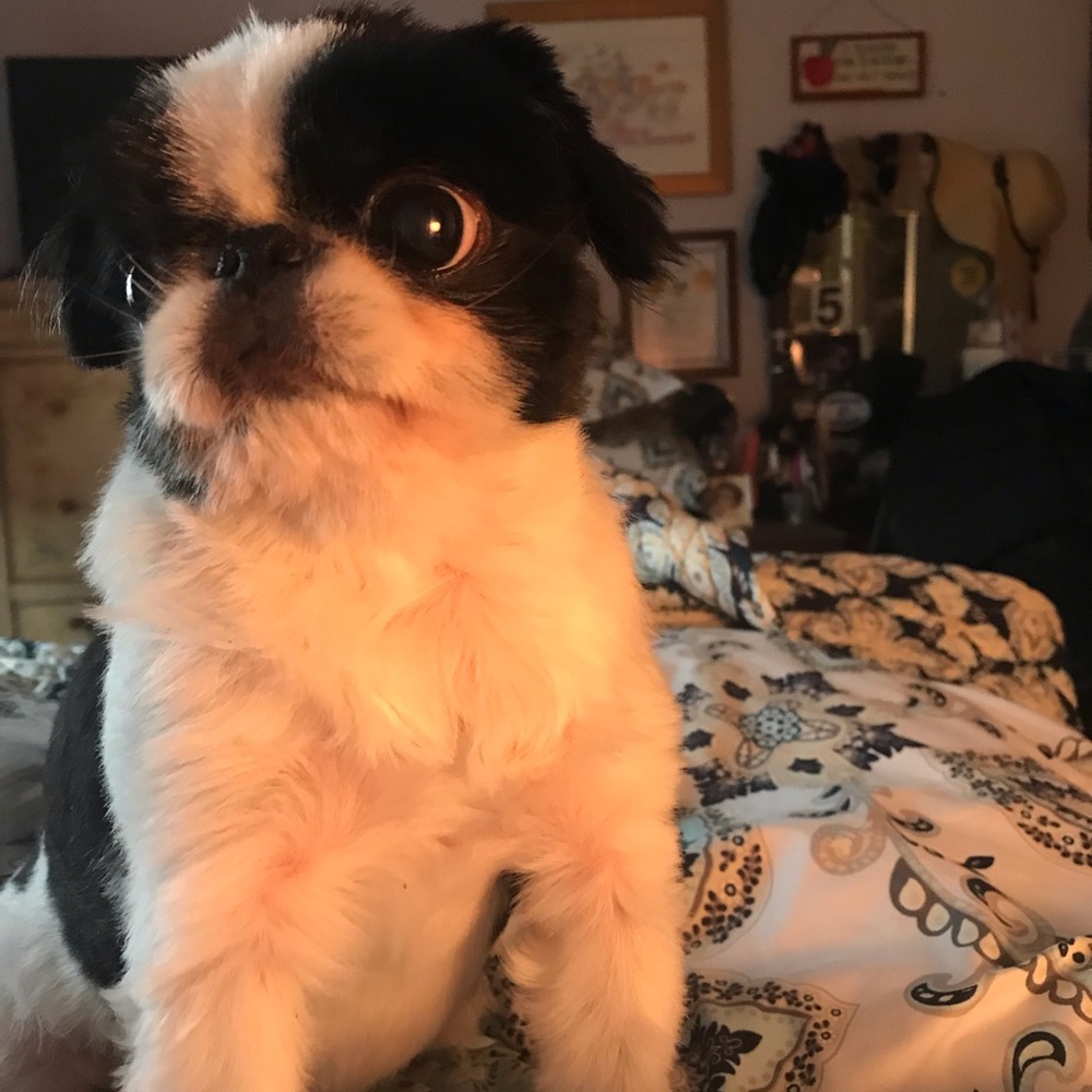 Meet your Posher, Caitlin